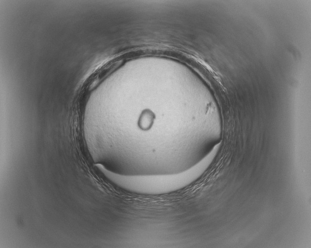 X0000115791255200912111141