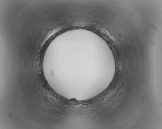 X0000115791256200912111141