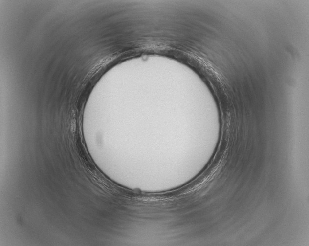 X0000115791257200912111141