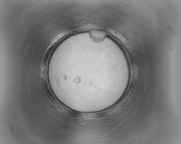 X0000115791258200912111141