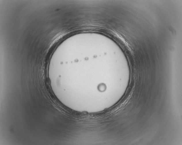 X0000115791259200912111141