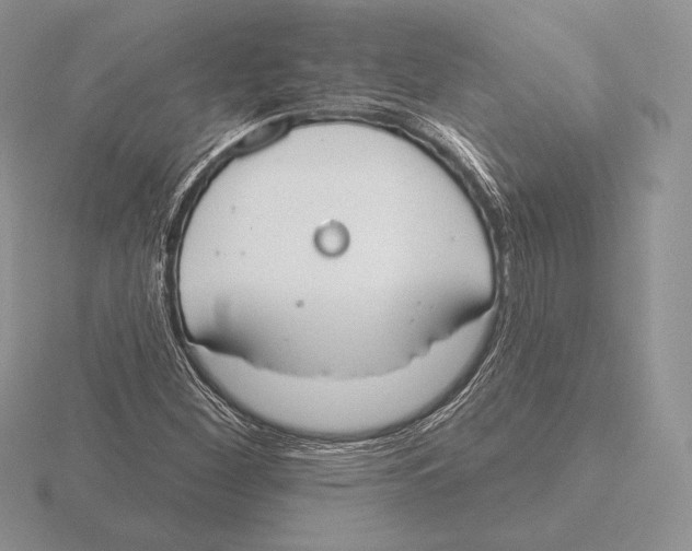 X0000115791260200912111141