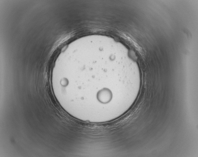 X0000115791261200912111141