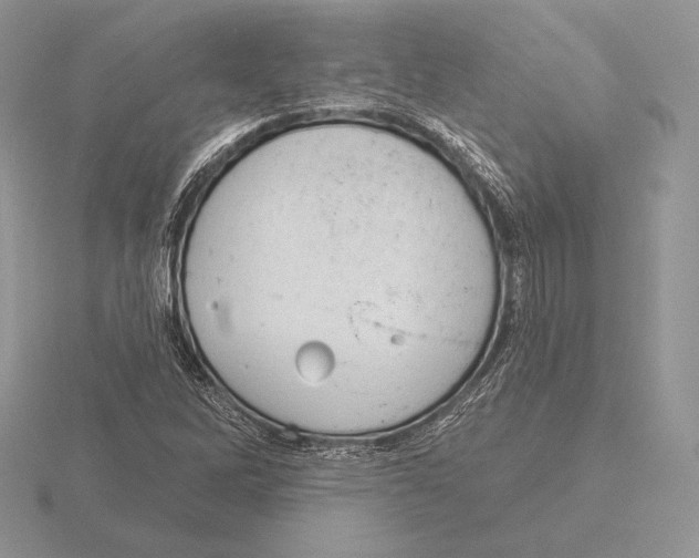 X0000115791262200912111141