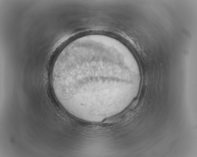 X0000115791263200912111141