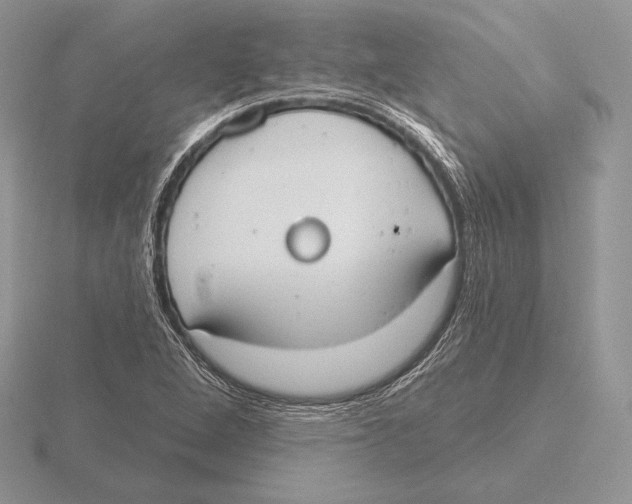 X0000115791264200912111141