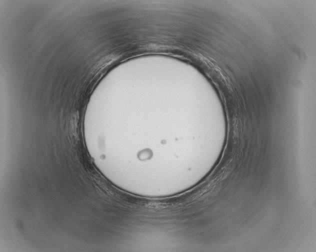 X0000115791265200912111141