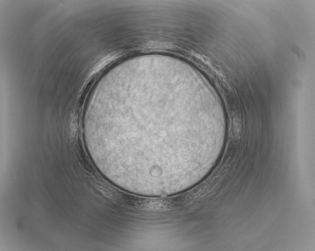 X0000115791266200912111141