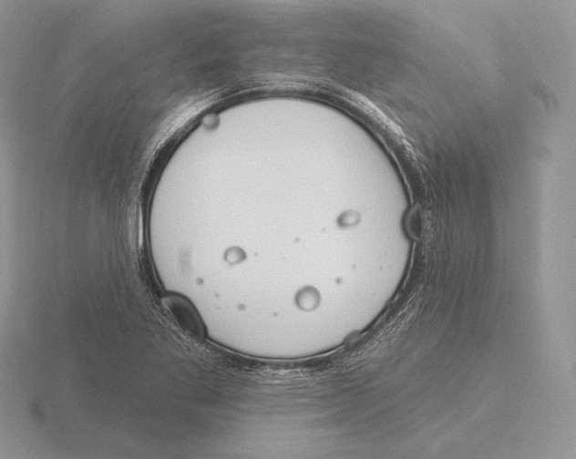 X0000115791269200912111141