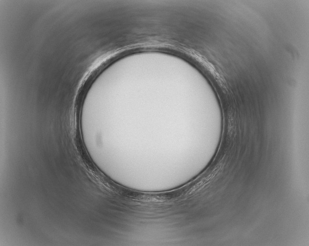 X0000115791270200912111141