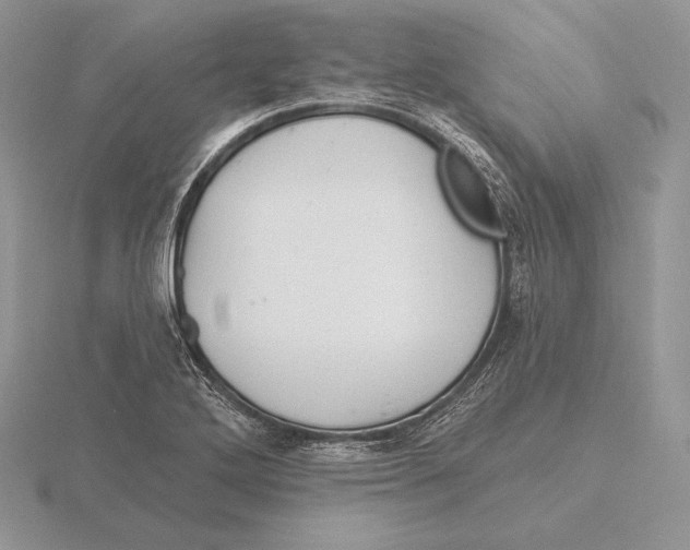 X0000115791272200912111141