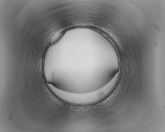 X0000115791273200912111141