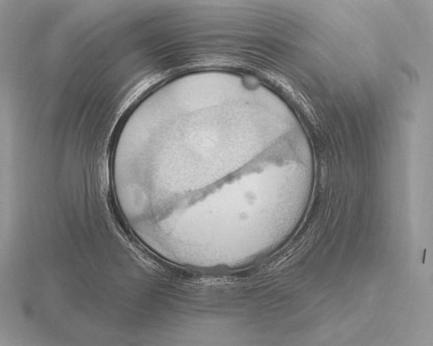 X0000115791274200912111141