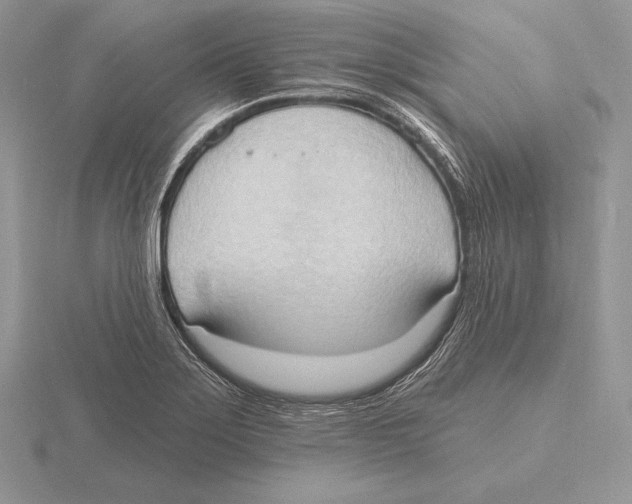 X0000115791275200912111141