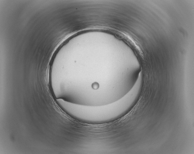 X0000115791276200912111141