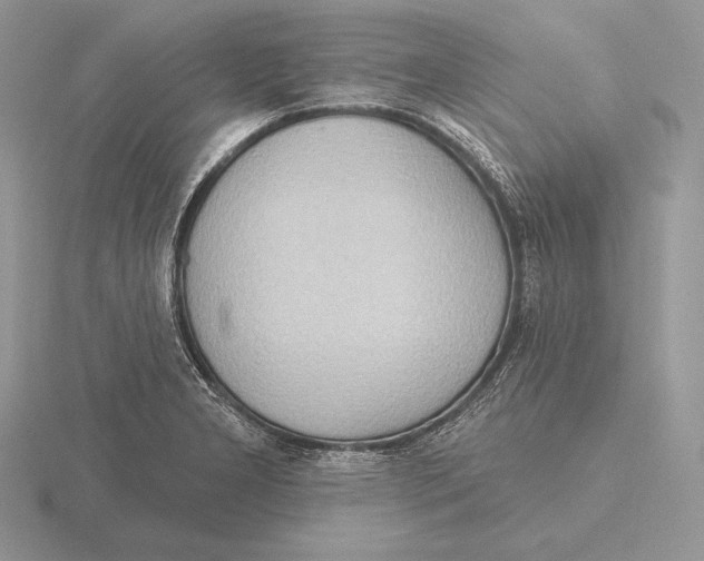 X0000115791277200912111141