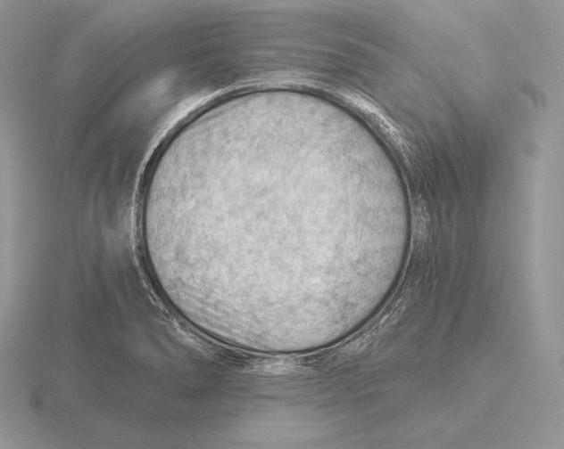 X0000115791278200912111140