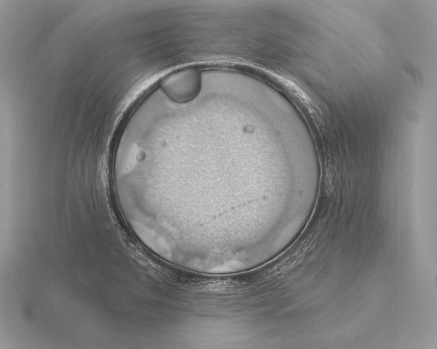 X0000115791279200912111140