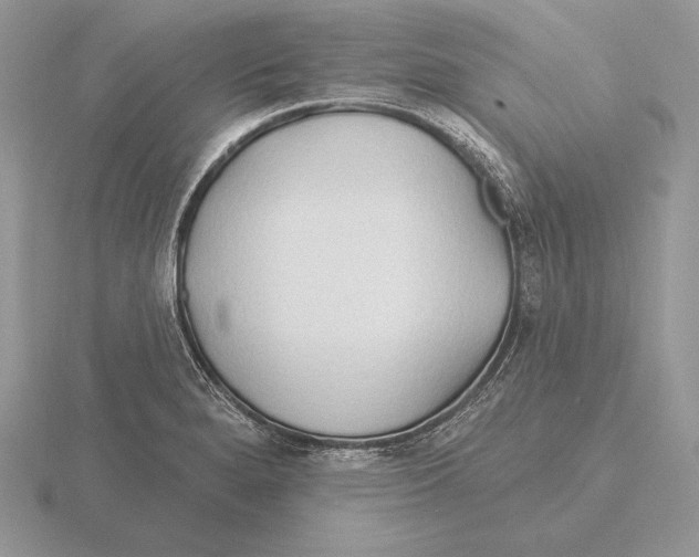 X0000115791280200912111140