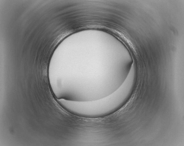 X0000115791281200912111140