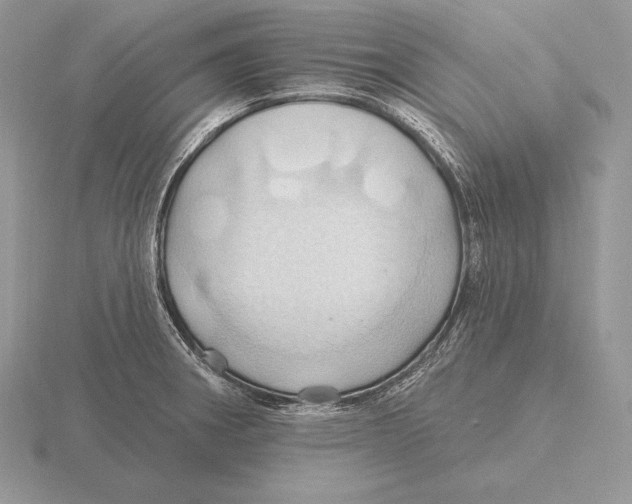 X0000115791282200912111140