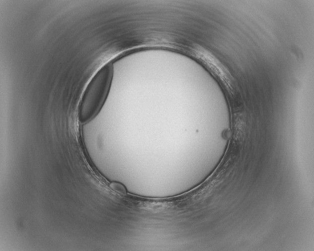 X0000115791284200912111140