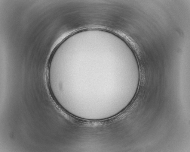 X0000115791286200912111140