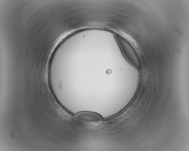 X0000115791288200912111140