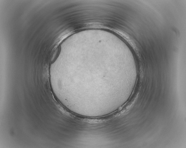 X0000115791289200912111140