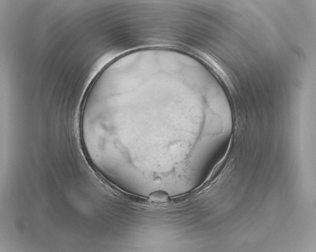 X0000115791291200912111140