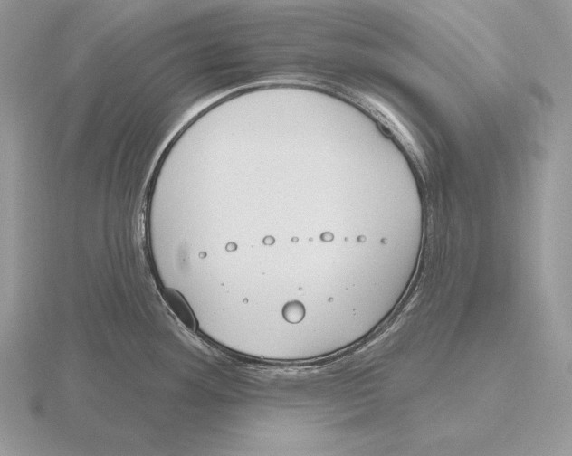 X0000115791292200912111140