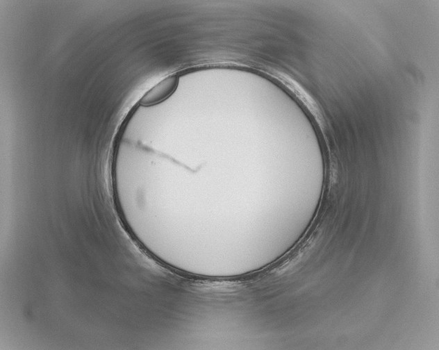 X0000115791293200912111140