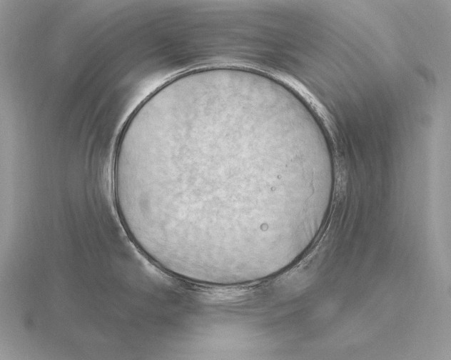 X0000115791294200912111140