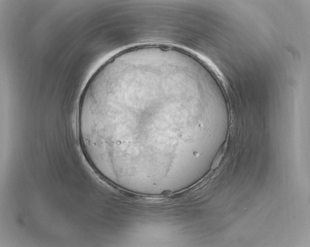 X0000115791295200912111140