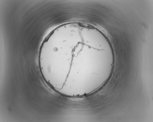 X0000115791296200912111140