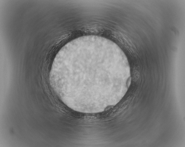 X0000115791297200912111140