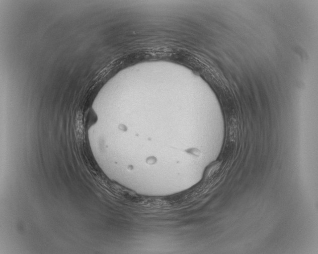 X0000115791298200912111140