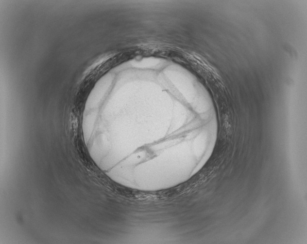 X0000115791302200912111140