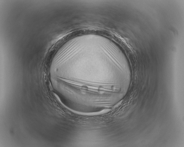 X0000115791303200912111140