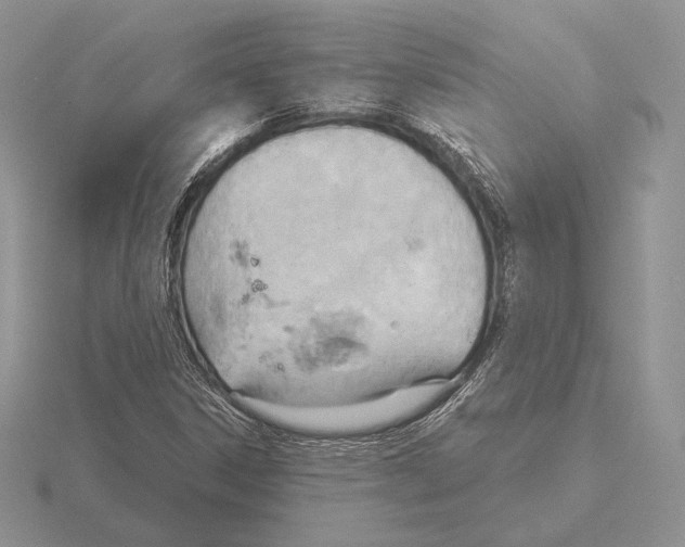 X0000115791306200912111140