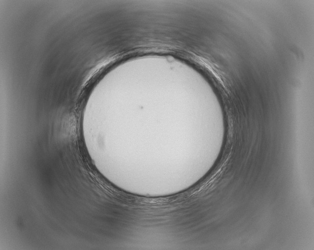 X0000115791307200912111140