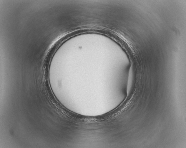 X0000115791310200912111140