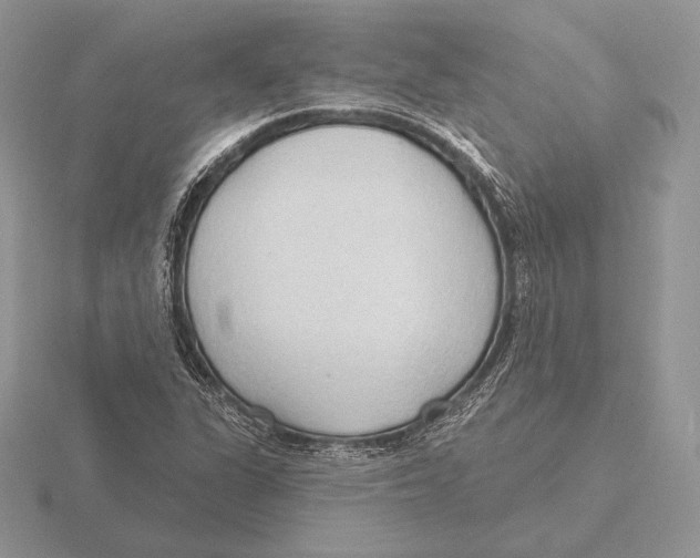 X0000115791311200912111140