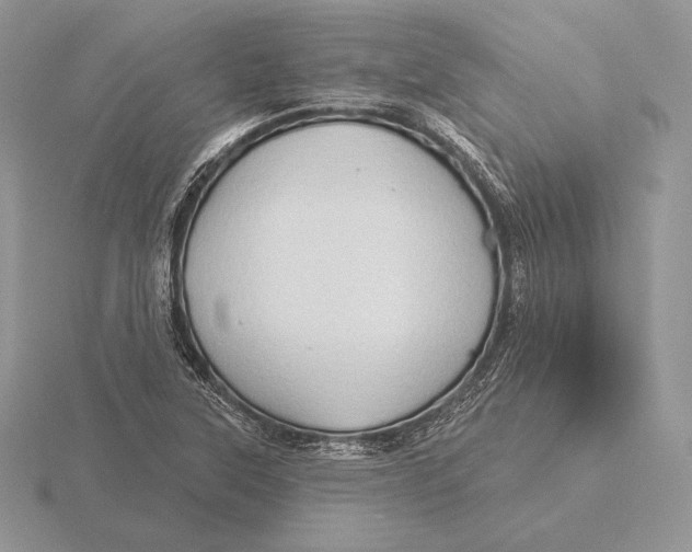 X0000115791315200912111140