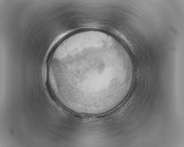 X0000115791323200912111140