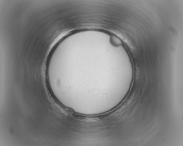 X0000115791325200912111140