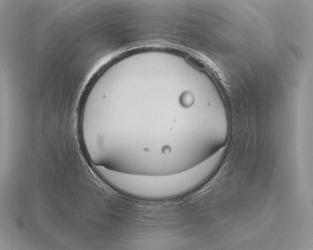 X0000115791326200912111140