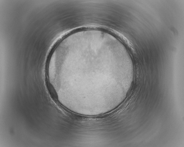 X0000115791327200912111140