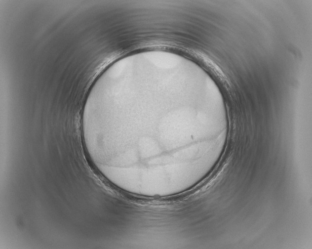 X0000115791329200912111140