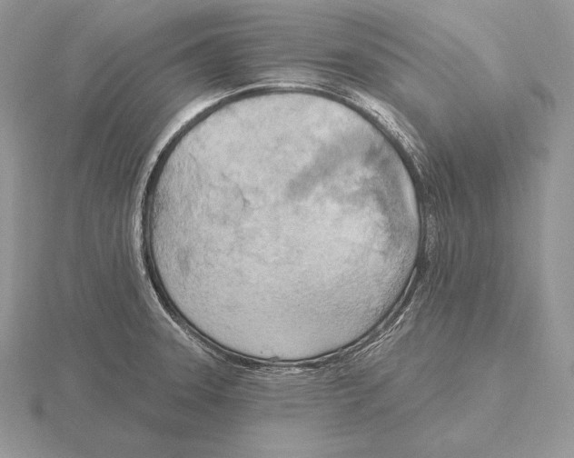 X0000115791331200912111140